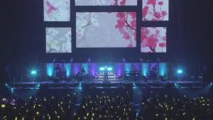 图片[5]-Pile 2017 武道馆演唱会 《BDMV 44.14》-蓝光演唱会资源网