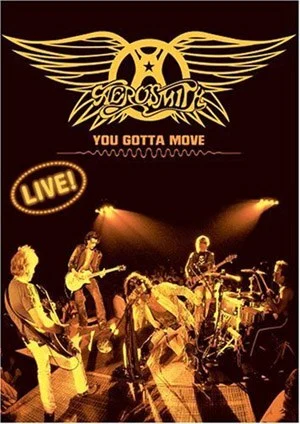 Aerosmith – Live You Gotta Move（DVD ISO 4.33G）-蓝光演唱会资源网