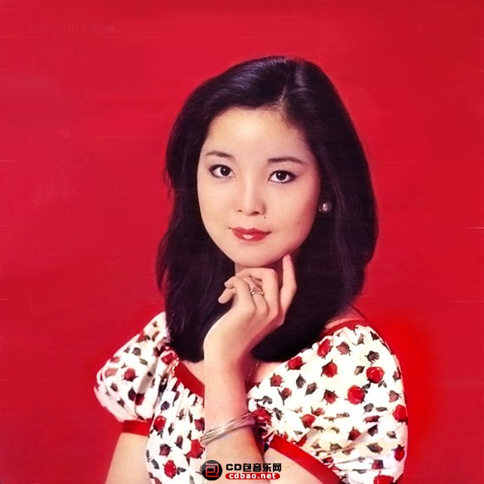 邓丽君 – 1982邓丽君香港篇音乐电视特辑（DVD/ISO/4.82G）-蓝光演唱会资源网