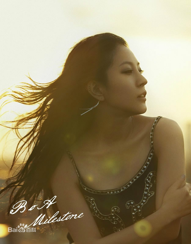BoA – Milestone（DVD ISO 2.45G）-蓝光演唱会资源网