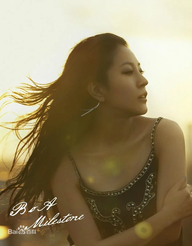 BoA – Milestone（DVD ISO 2.45G）-蓝光演唱会资源网