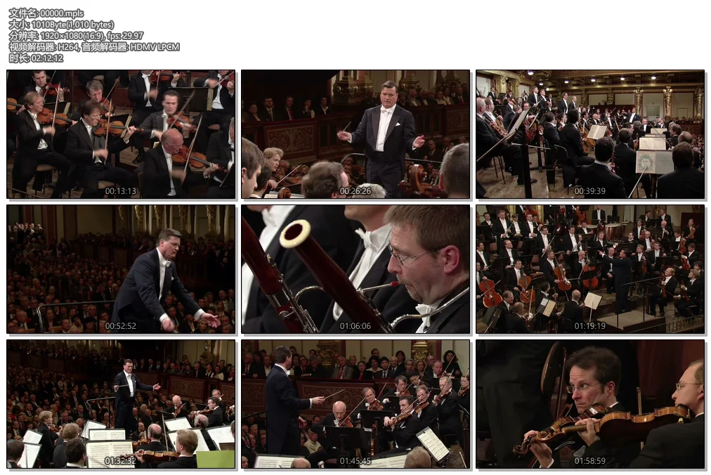 图片[5]-贝多芬 九大交响曲全集 Beethoven 9 Symphonies 2010 [BDMV 122GB]-蓝光演唱会资源网