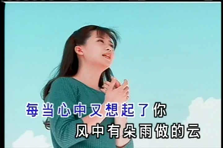 图片[4]-孟庭苇 – 典藏特辑 卡拉OK（DVD/ISO/4.01G）-蓝光演唱会资源网