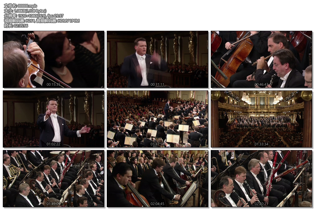 图片[3]-贝多芬 九大交响曲全集 Beethoven 9 Symphonies 2010 [BDMV 122GB]-蓝光演唱会资源网