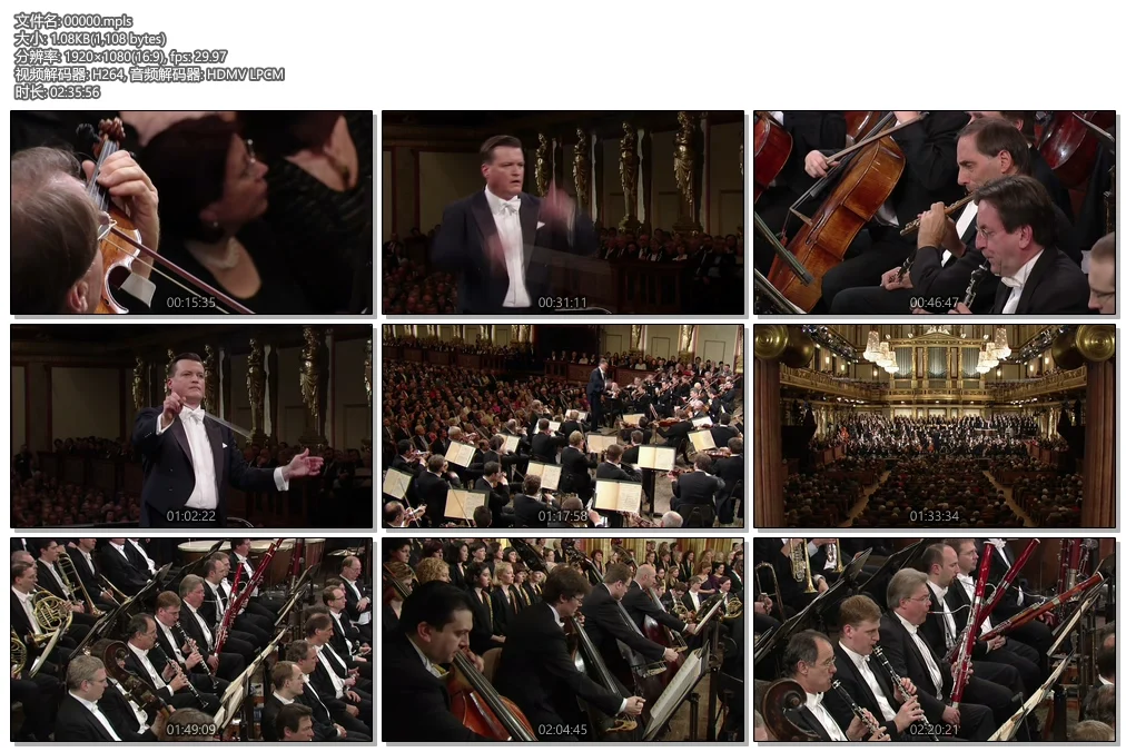图片[3]-贝多芬 九大交响曲全集 Beethoven 9 Symphonies 2010 [BDMV 122GB]-蓝光演唱会资源网
