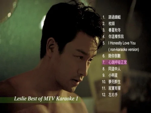图片[3]-张国荣 – 2002 Best Of Music Videos Karaoke（DVD/ISO/3.2G）-蓝光演唱会资源网