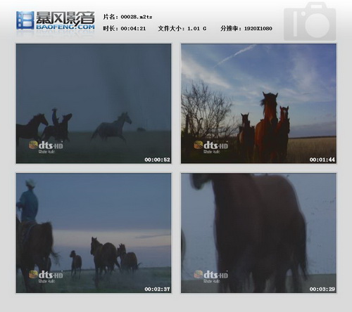 图片[8]-DTS 蓝光高清演示碟-14 2010 DTS Blu-Ray Demo Disc Vol.14《ISO 17.1GB》-蓝光演唱会资源网