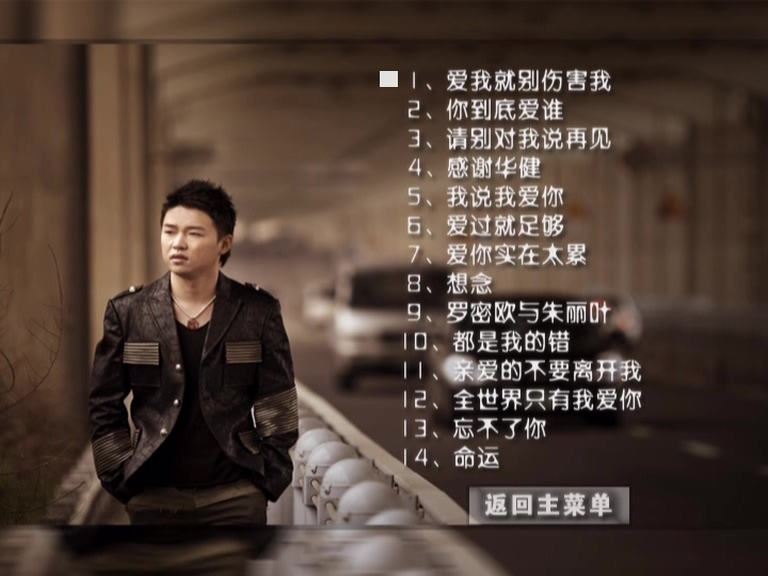 刘嘉亮 – 2004情歌全记录 超白金精选DVD 卡拉OK（DVD/ISO/3.97G）-蓝光演唱会资源网