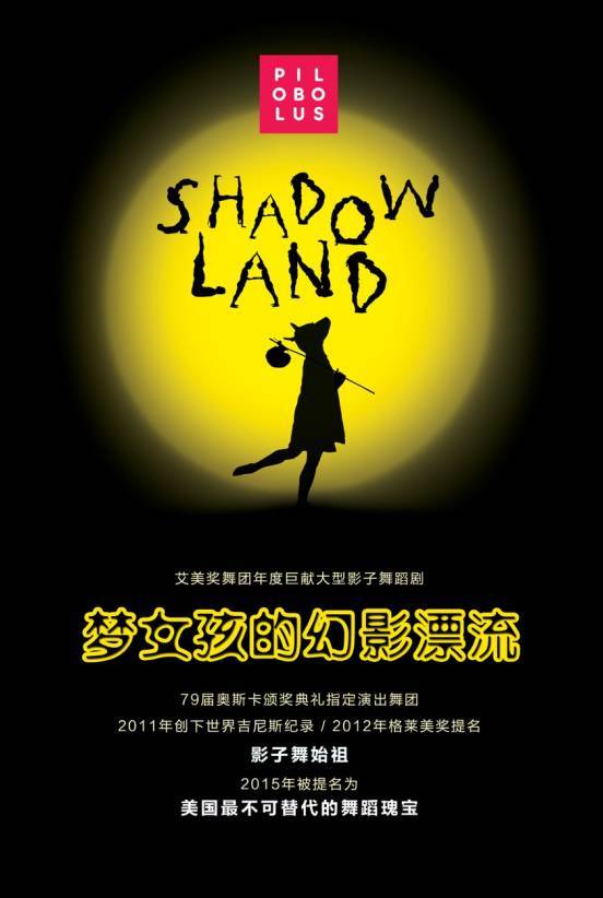 影子舞蹈 – 梦女孩的幻影漂流 Shadowland 2013《Remux MKV 16.4G》-蓝光演唱会资源网
