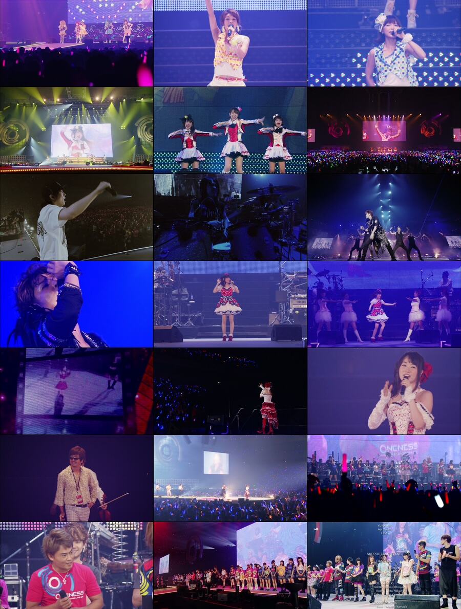 图片[3]-夏日漫音祭 Animelo Summer Live 2014 -ONENESS《MKV 92.7G》-蓝光演唱会资源网