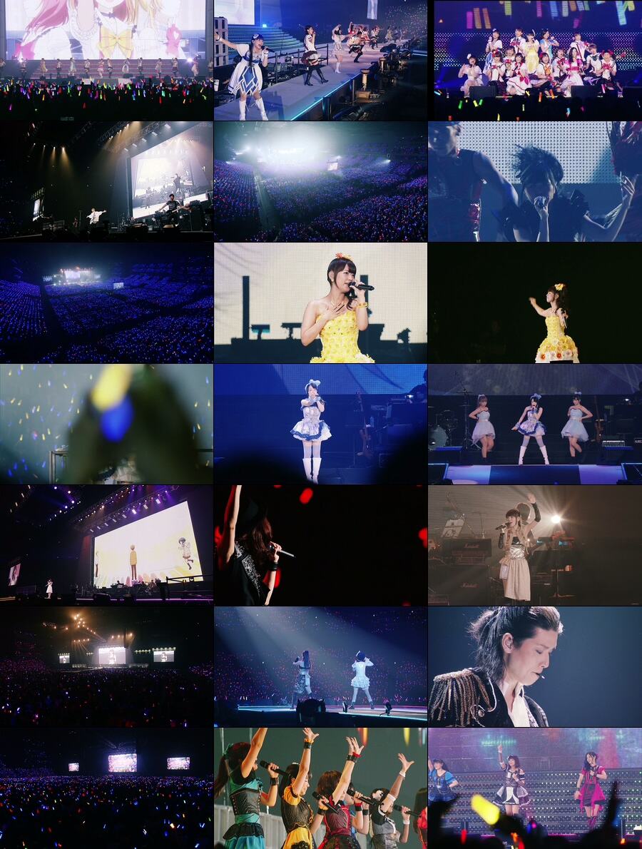 图片[3]-夏日漫音祭 Animelo Summer Live 2015 -THE GATE《MKV 110.5G》-蓝光演唱会资源网
