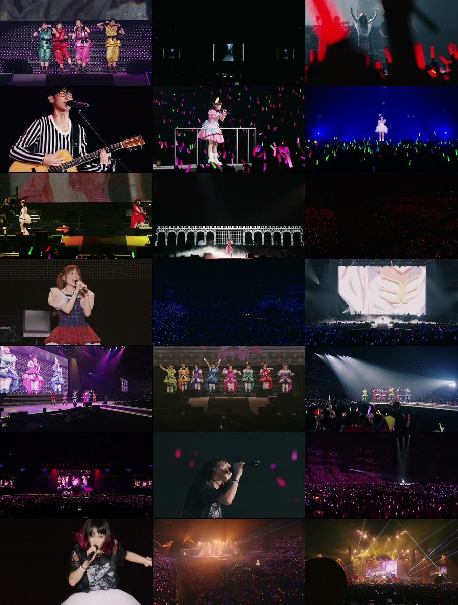 图片[4]-夏日漫音祭 Animelo Summer Live 2015 -THE GATE《MKV 110.5G》-蓝光演唱会资源网