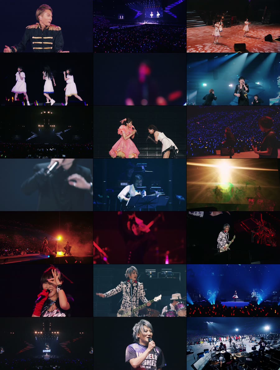 图片[3]-夏日漫音祭 Animelo Summer Live 2016 -TOKI《MKV 69.9G》-蓝光演唱会资源网