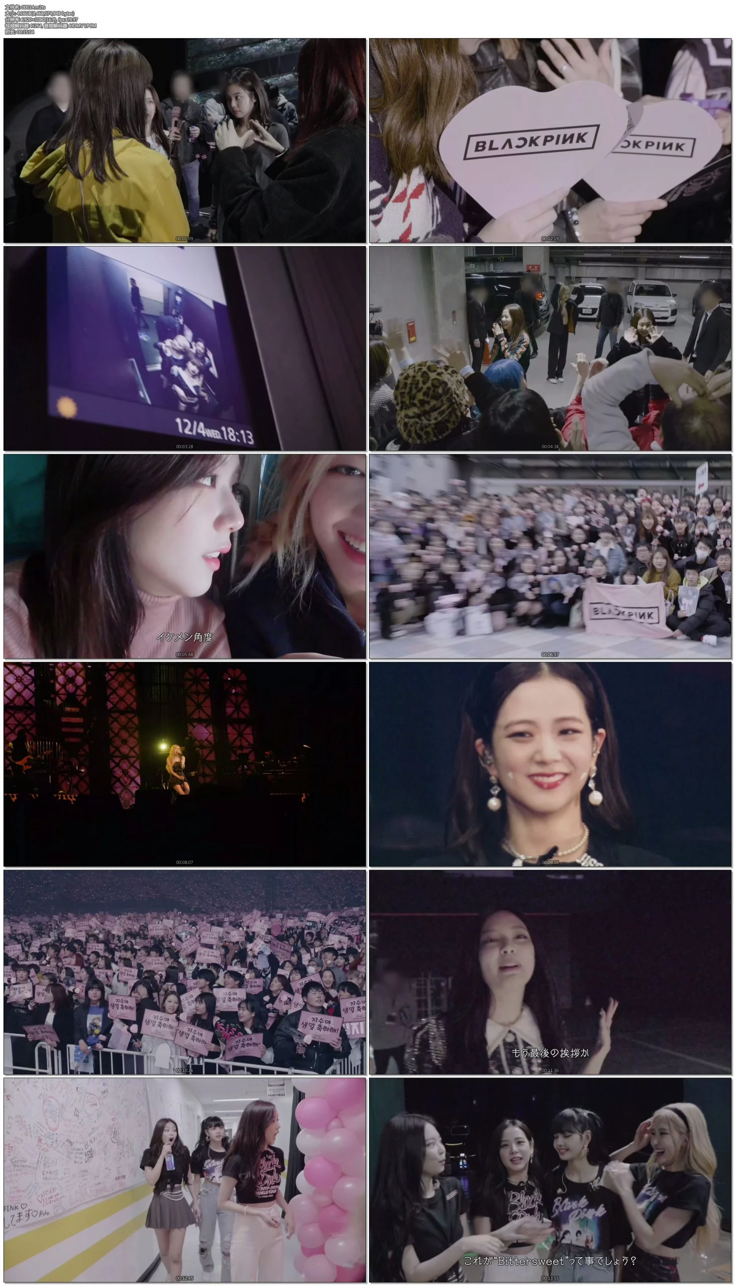 图片[9]-BLACKPINK WORLD TOUR IN YOUR AREA 2019-2020 TOKYO DOME JAPAN 东京巨蛋 演唱会 初回限定盘《ISO双碟 43.70GB》-蓝光演唱会资源网