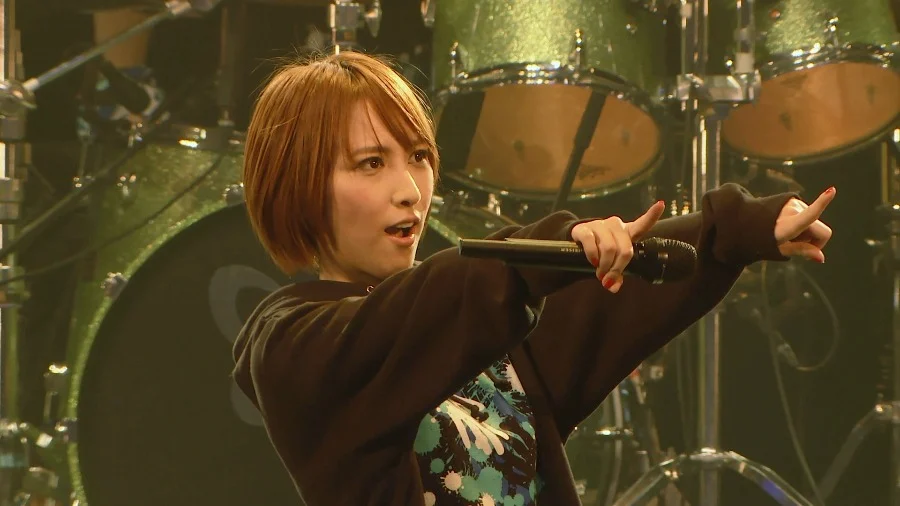 图片[2]-Eir Aoi 藍井エイル – Special Live 2014 -IGNITE CONNECTION《BDMV 31.3G》-蓝光演唱会资源网