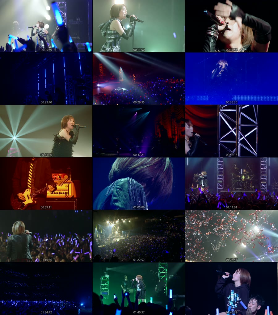 图片[4]-Eir Aoi 藍井エイル – Special Live 2014 -IGNITE CONNECTION《BDMV 31.3G》-蓝光演唱会资源网