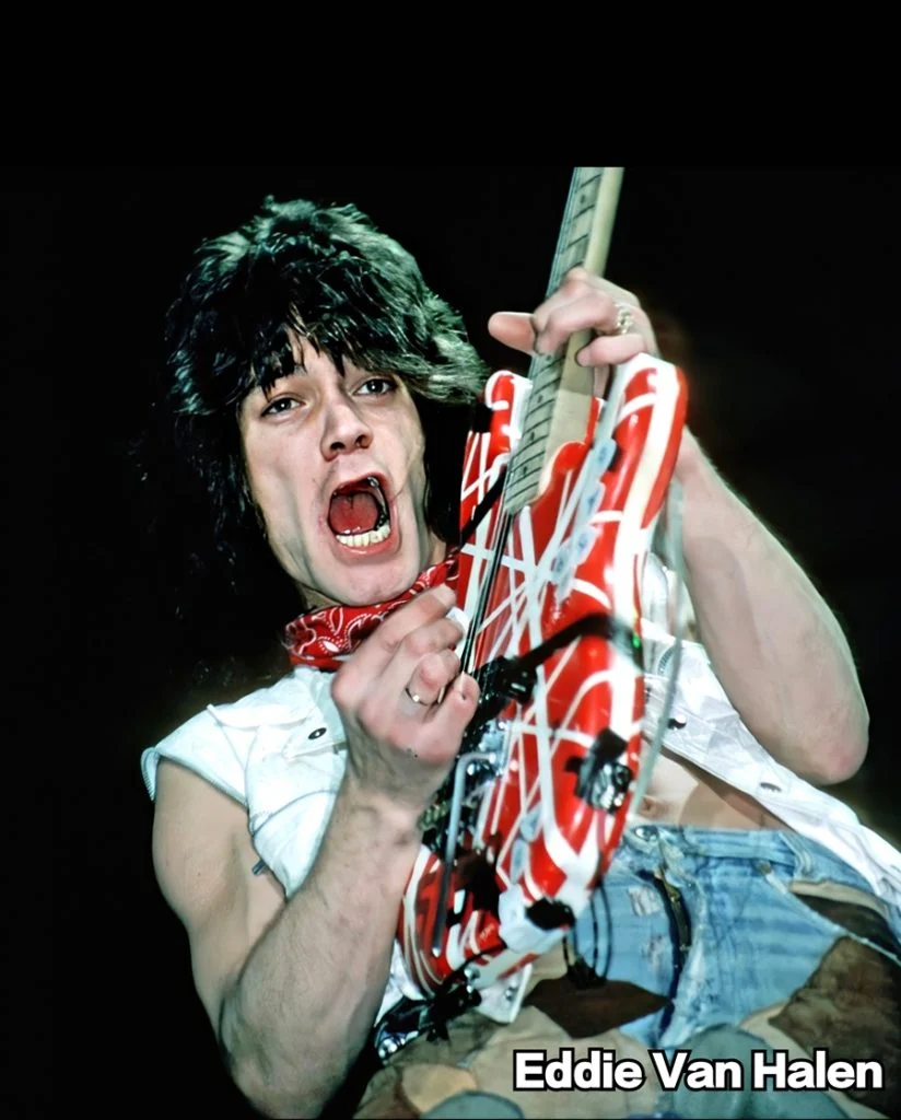 图片[2]-范海伦大合集/Van Halen/Live/MV/（24DVD-ISO153.66GB）-蓝光演唱会资源网