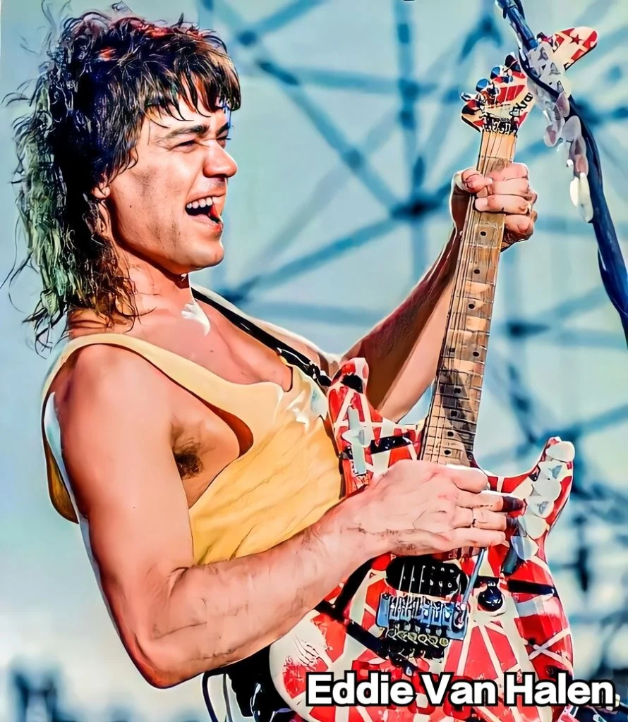 图片[3]-范海伦大合集/Van Halen/Live/MV/（24DVD-ISO153.66GB）-蓝光演唱会资源网