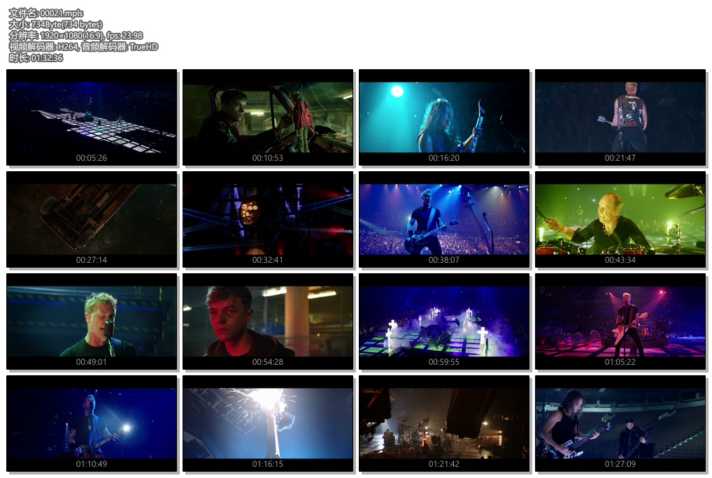 图片[3]-金属乐队 穿越永恒演唱会 德国终极版蓝光3D Metallica Through the Never 2013 《ISO 41.06G》-蓝光演唱会资源网
