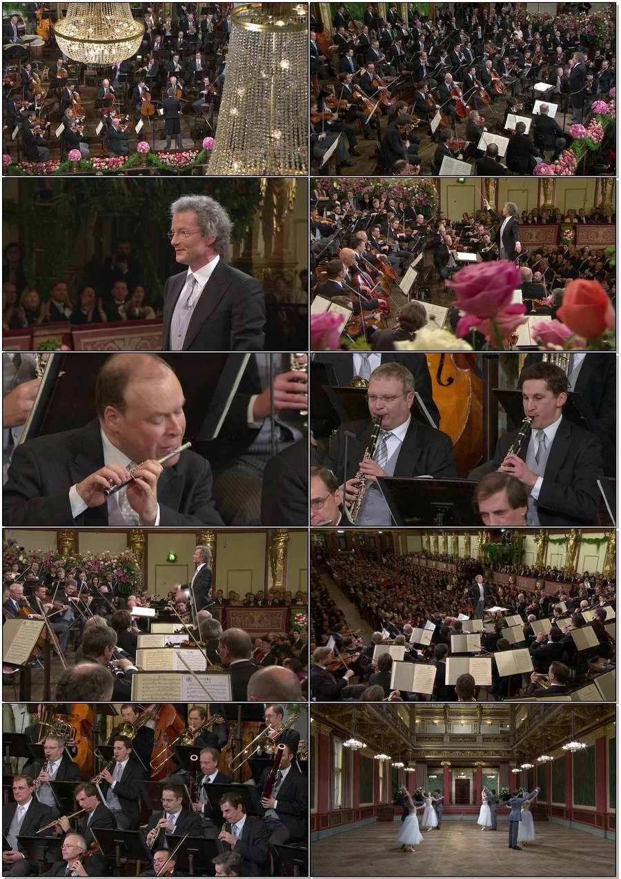 图片[2]-2011年维也纳新年音乐会 Vienna Philharmonic New Year\’s Concert 2011《BDMV 39.4G》-蓝光演唱会资源网