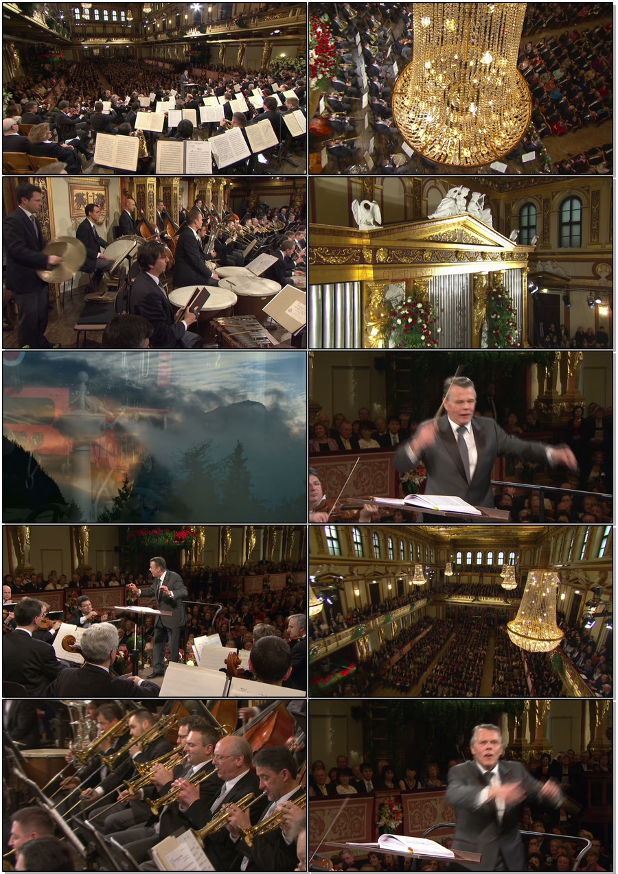 图片[2]-2012年维也纳新年音乐会 Vienna Philharmonic New Year\’s Concert 2012《BDMV 43.4G》-蓝光演唱会资源网