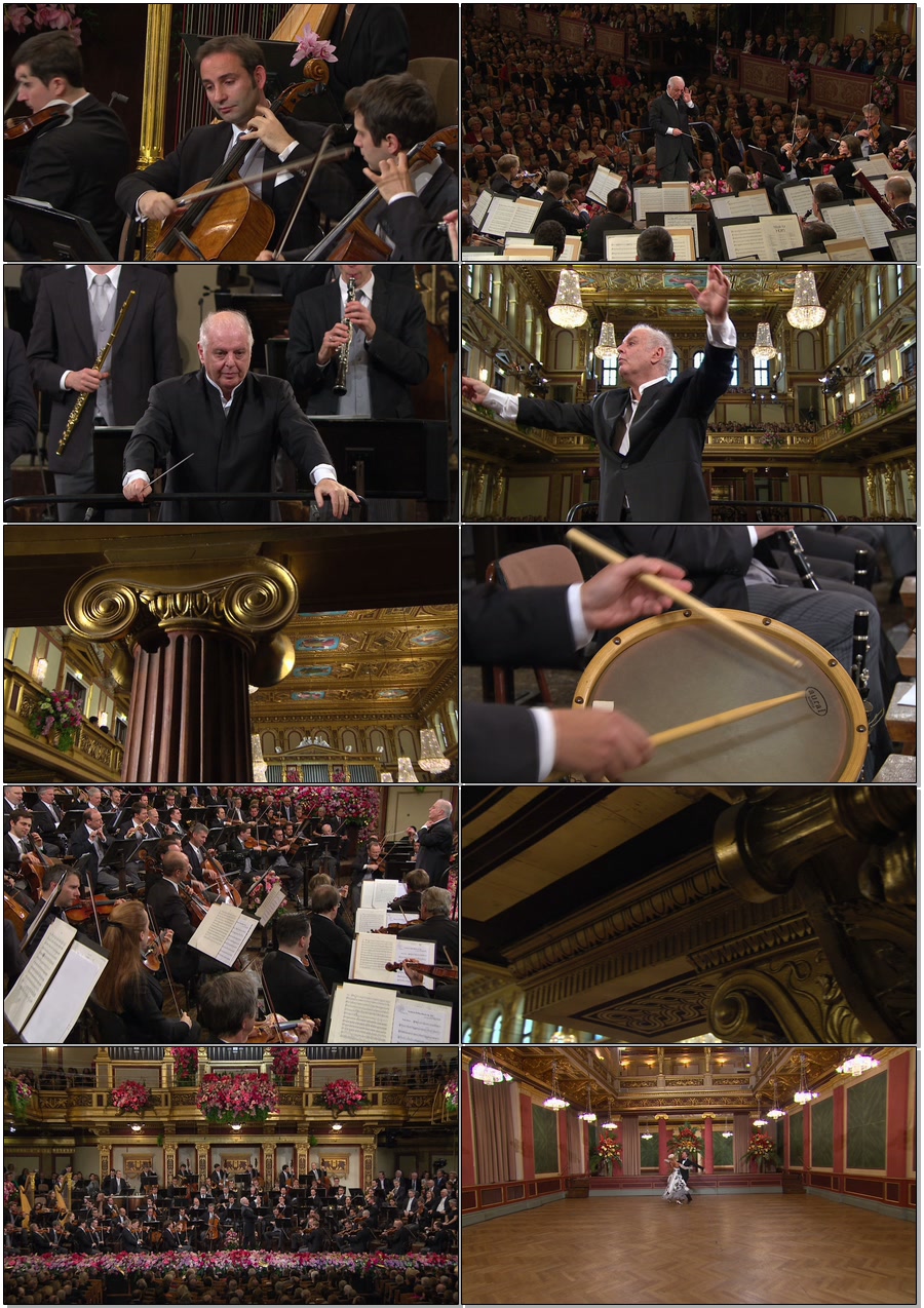 图片[3]-2014年维也纳新年音乐会 Vienna Philharmonic New Year\’s Concert 2014《BDMV 40.9G》-蓝光演唱会资源网