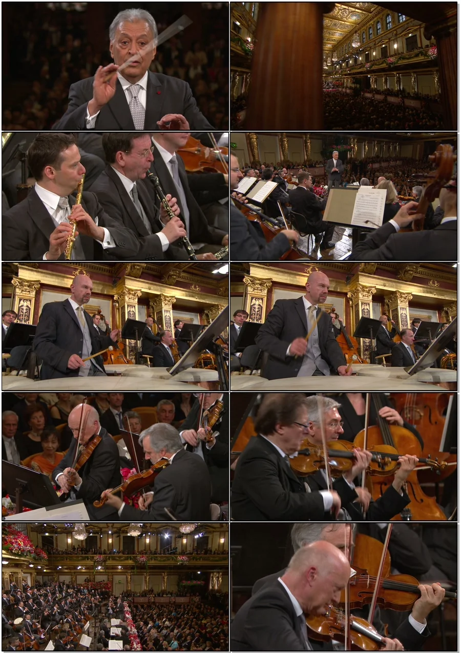 图片[2]-2015年维也纳新年音乐会 Vienna Philharmonic New Year\’s Concert 2015《BDMV 45.5G》-蓝光演唱会资源网