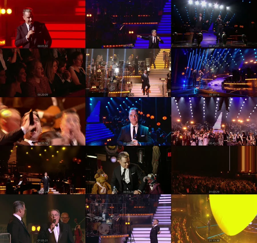 图片[3]-罗比·威廉姆斯 Robbie Williams – One Night at the Palladium 2013《BDMV 28.1G》-蓝光演唱会资源网