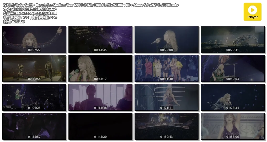 图片[3]-泰勒·斯威夫特 举世盛名 Taylor Swift: Reputation 2018香港巡回演唱会  4K-NF-WEBDL版 《WEB-DL MVK 43.1GB》-蓝光演唱会资源网