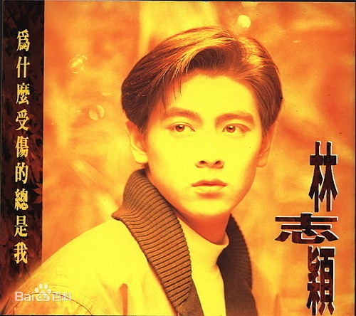 林志颖 – 为什么受伤的总是我 1992 MTV伴唱精选 [2DVD ISO 6.5GB]-蓝光演唱会资源网