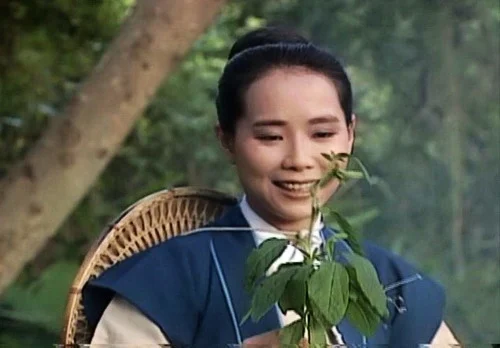 图片[3]-左宏元 – 新白娘子传奇经典原声歌曲集（DVD/ISO/4.33GB）-蓝光演唱会资源网