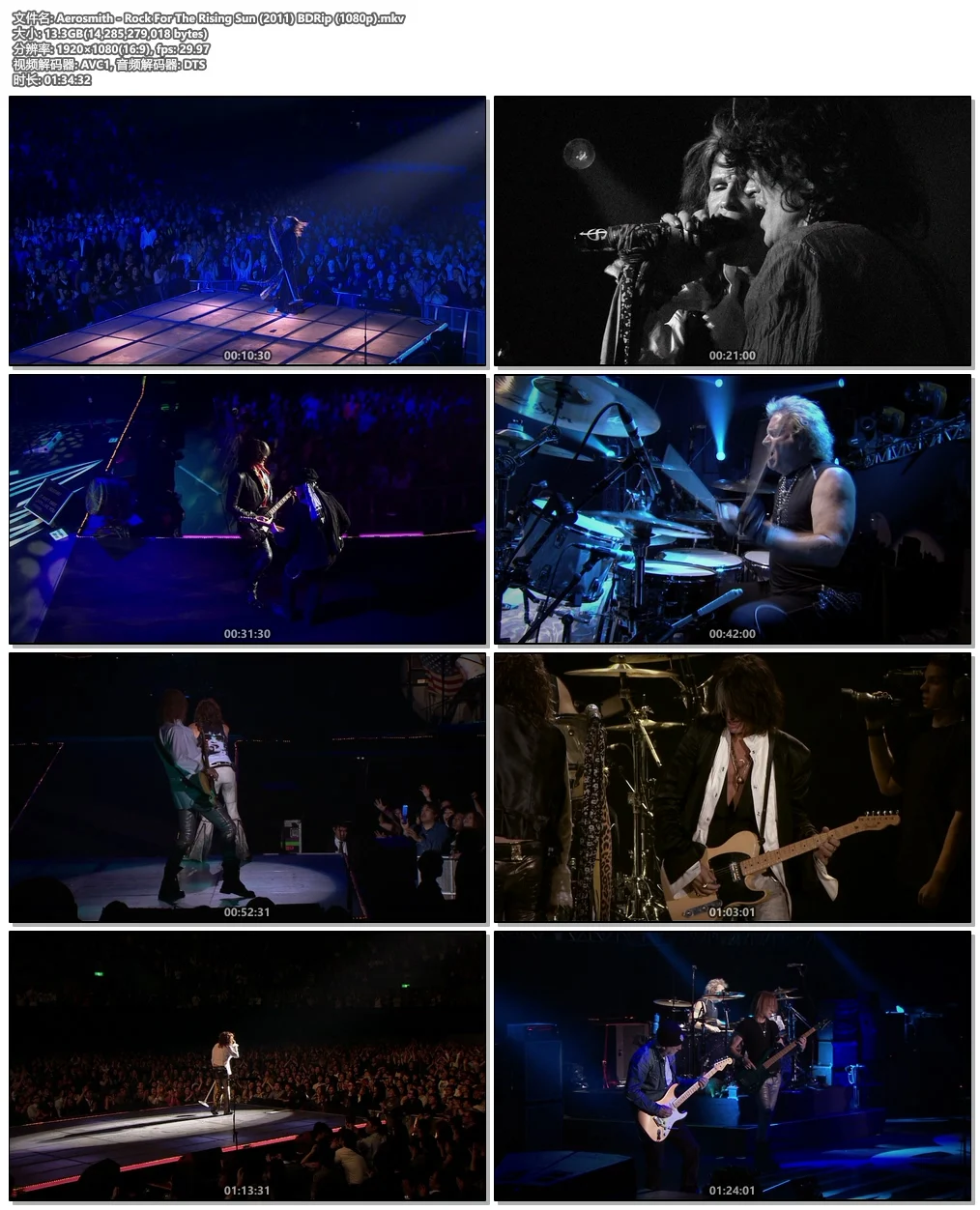 图片[4]-Aerosmith – Rock For The Rising Sun 2011《BDrip MKV 11.3G》-蓝光演唱会资源网
