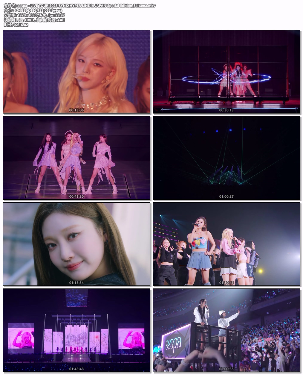 图片[5]-AESPA LIVE TOUR 2023 SYNK HYPER LINE IN JAPAN SPECIAL EDITION [WEB-DL MKV 13.03GB]-蓝光演唱会资源网