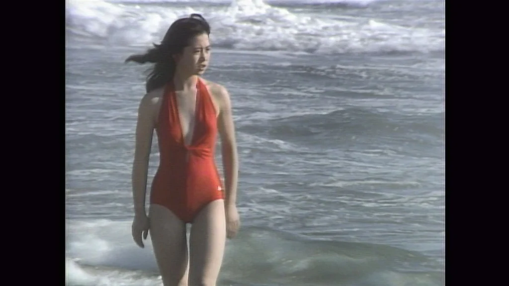 图片[6]-中森明菜 Akina Nakamori – BITTER AND SWEET 1985 [BDMV 17.5GB]-蓝光演唱会资源网