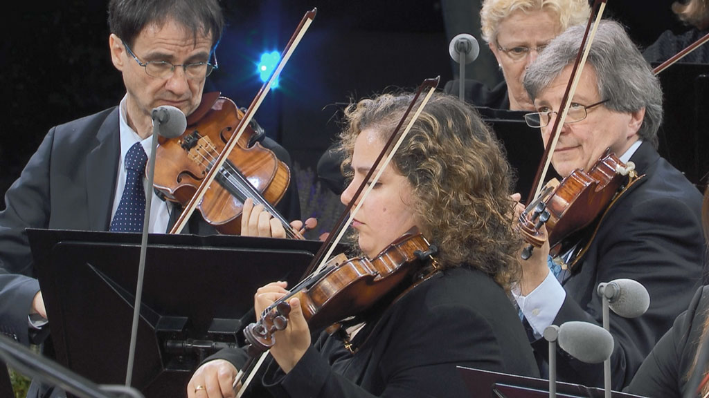 图片[5]-Waldbuehne 2021 – American Rhythms (Wayne Marshall) 2021 [BDMV 18.1GB]-蓝光演唱会资源网