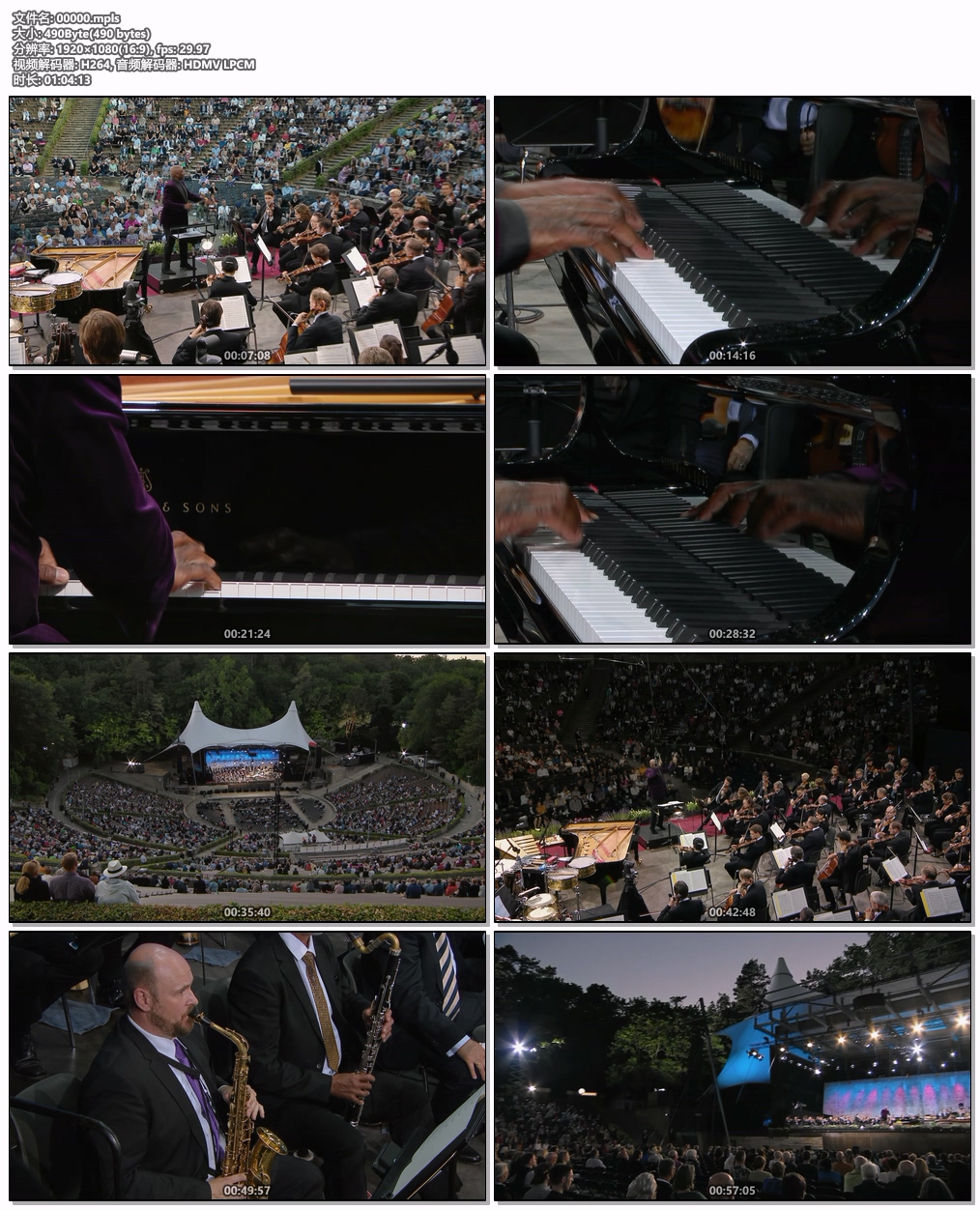 图片[6]-Waldbuehne 2021 – American Rhythms (Wayne Marshall) 2021 [BDMV 18.1GB]-蓝光演唱会资源网