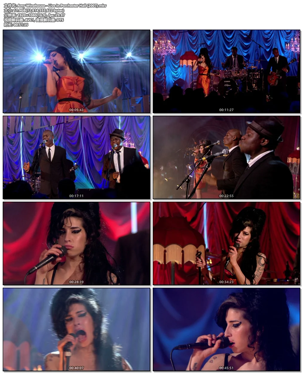 图片[5]-Amy Winehouse – Live In Porchester Hall (London 2007)《BDrip MKV 11.9G》-蓝光演唱会资源网
