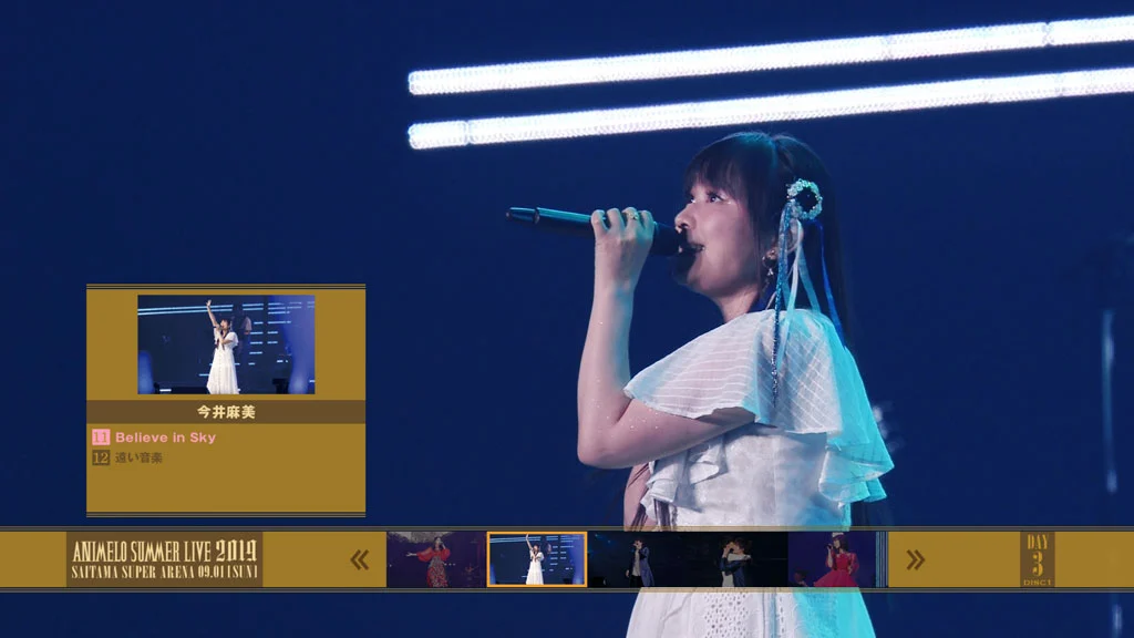 图片[5]-Animelo Summer Live 2019 STORY 2013《BDMV六碟 246G》-蓝光演唱会资源网