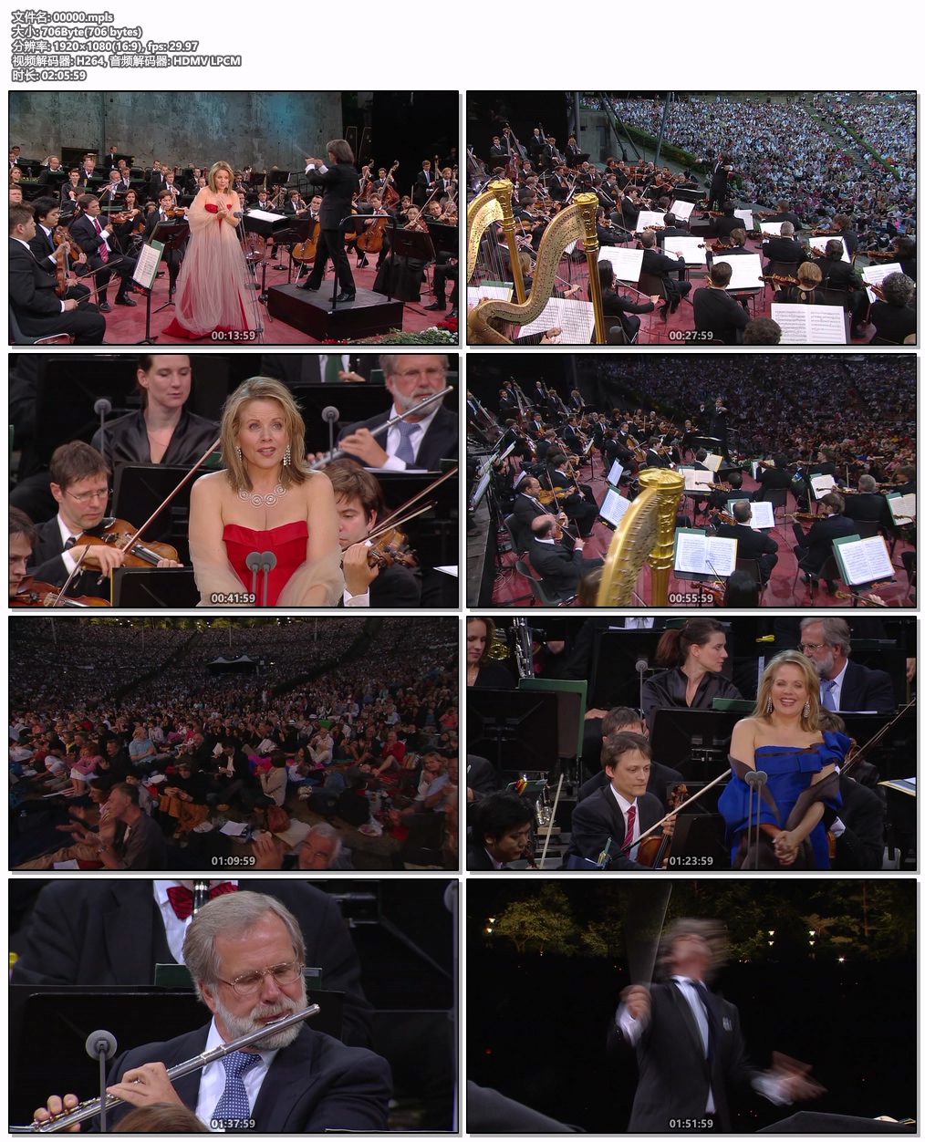 图片[6]-Waldbuehne 2010 – An evening with Renee Fleming (Ion Marin, Renee Fleming) 2010 [BDMV 20.2GB]-蓝光演唱会资源网