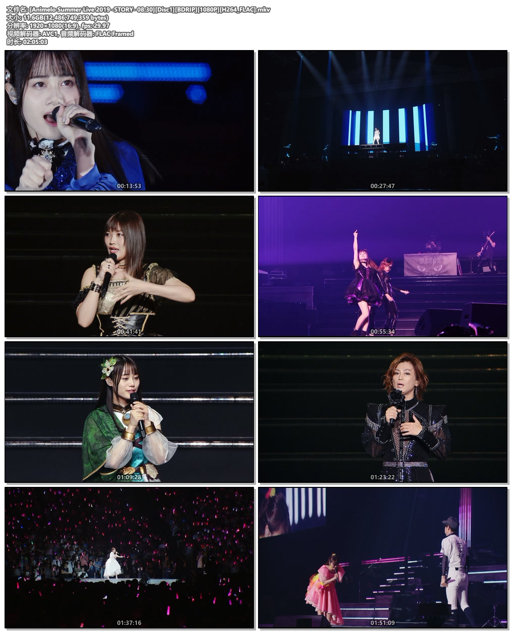 图片[5]-夏日漫音祭 Animelo Summer Live 2019 -STORY-《Remux MKV 107G》-蓝光演唱会资源网
