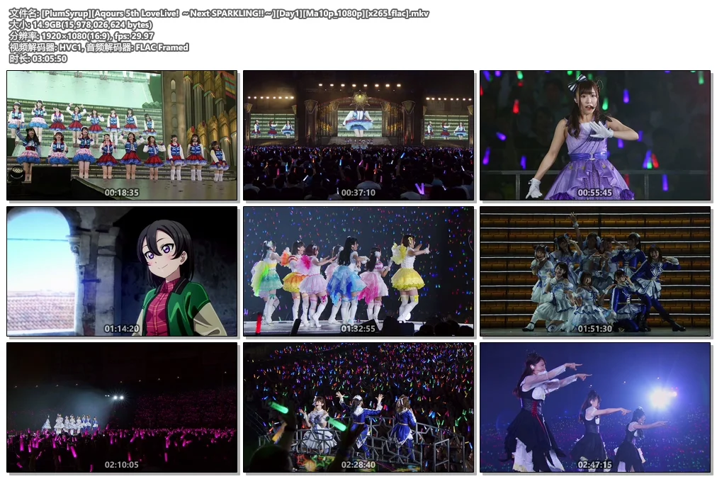 图片[2]-Aqours 5th LoveLive! ～Next SPARKLING!!～Ma10p 1080p x265 flac《Remux MKV 28G》-蓝光演唱会资源网