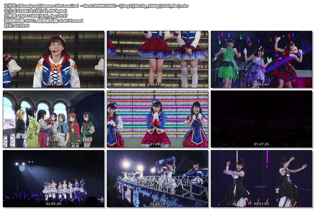 图片[5]-Aqours 5th LoveLive! ～Next SPARKLING!!～Ma10p 1080p x265 flac《Remux MKV 28G》-蓝光演唱会资源网