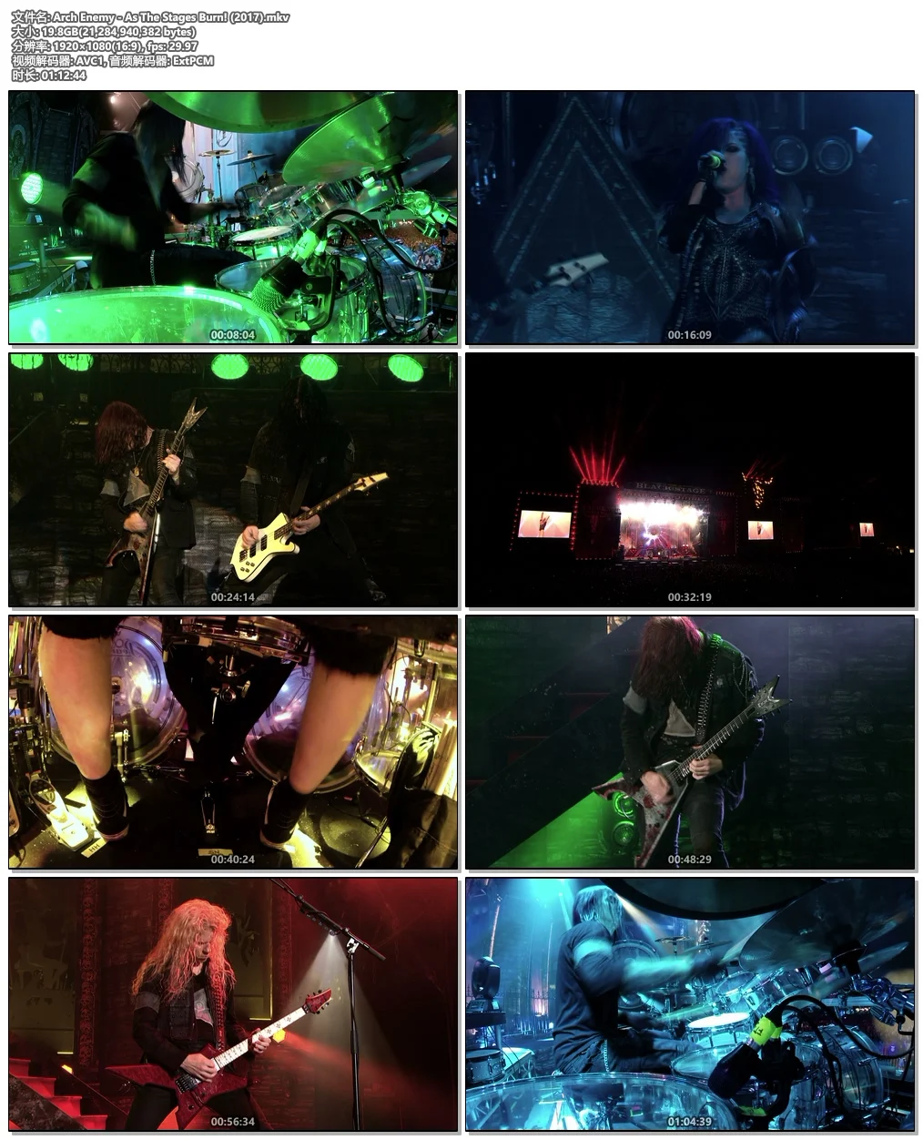 图片[5]-Arch Enemy – As The Stages Burn!《Remux MKV 19.8G》-蓝光演唱会资源网