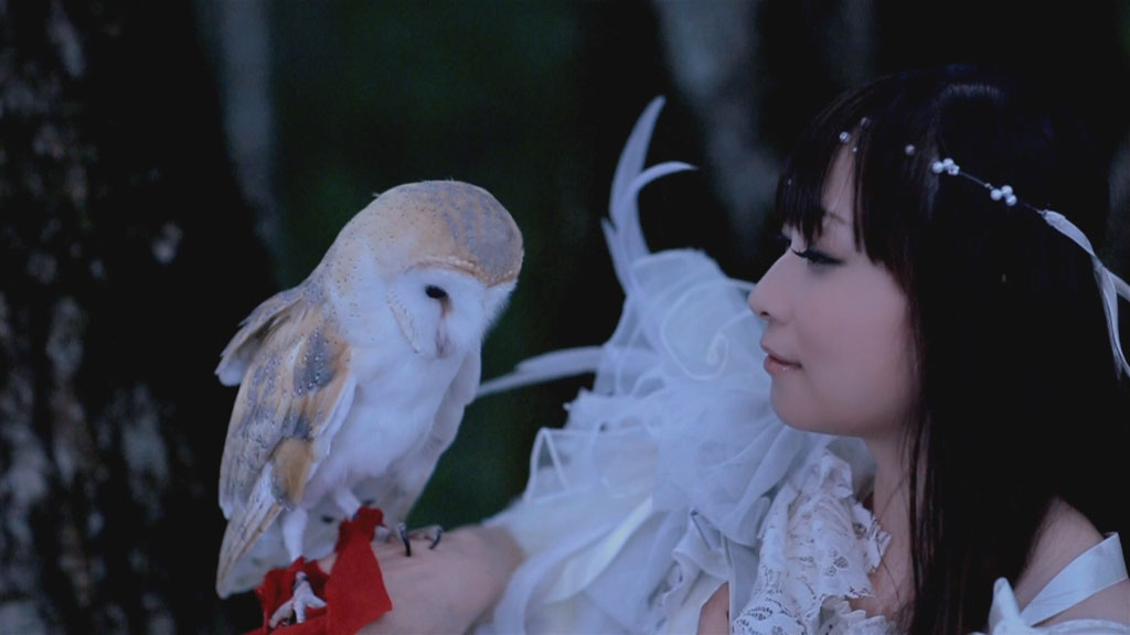 图片[4]-亜咲花 – Asaka 5th ANNIVERSARY LIVE – Thank you sooooo much!! 2022 [BDMV 45.5GB]-蓝光演唱会资源网