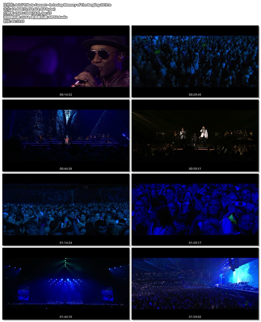 图片[4]-Avicii Tribute Concert – In Loving Memory of Tim Bergling 2019《HDTV TS 14.3G》-蓝光演唱会资源网