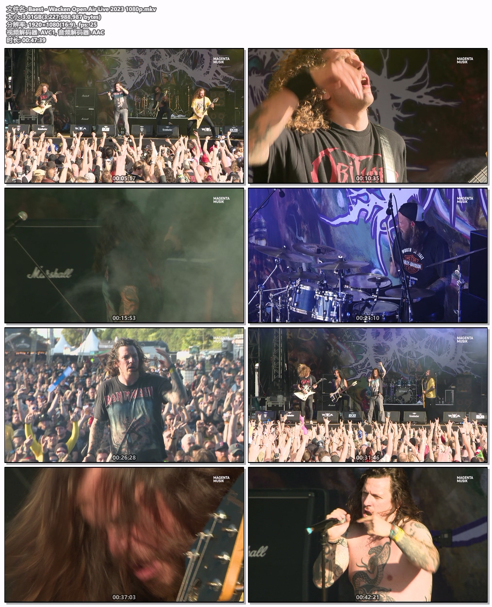 图片[4]-Baest – Wacken Open Air Live 2023 HD 1080P [WEB-DL MKV 3GB]-蓝光演唱会资源网