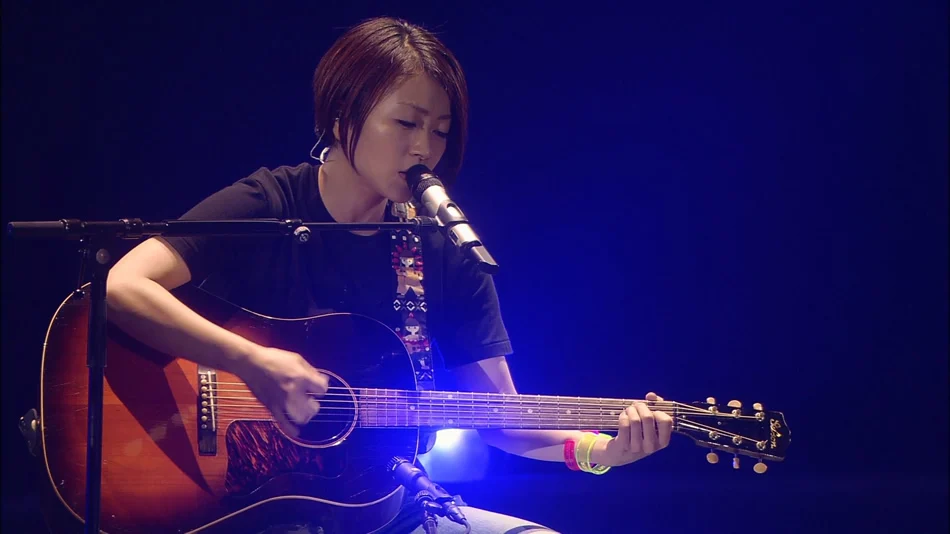 宇多田光 Utada Hikaru-WILD LIFE 2010 暂别歌坛演唱会《ISO 45.1G》-蓝光演唱会资源网