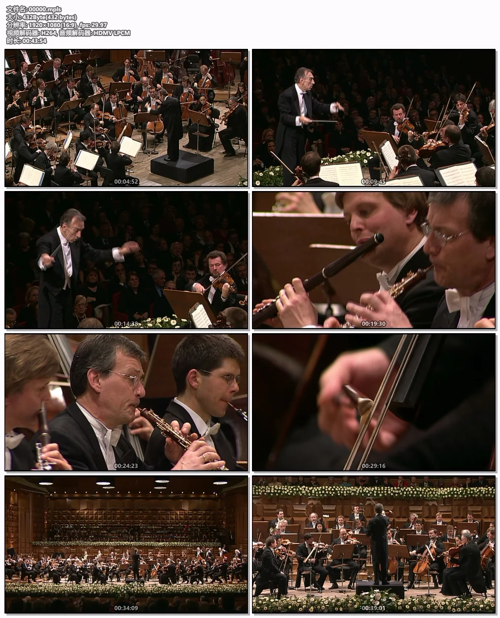 图片[9]-贝多芬交响曲 Beethoven Symphonies Nos. 1-9 (Claudio Abbado, Berliner Philharmoniker) [2000-2001] [BDMV 4BD 96.5GB]-蓝光演唱会资源网