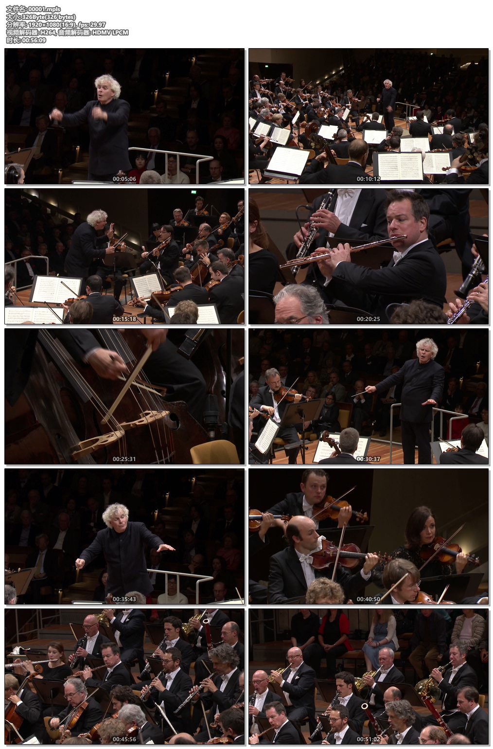 图片[3]-Beethoven Symphonies Nos. 1-9 2016 Concert Video《BDMV 87.6G》-蓝光演唱会资源网