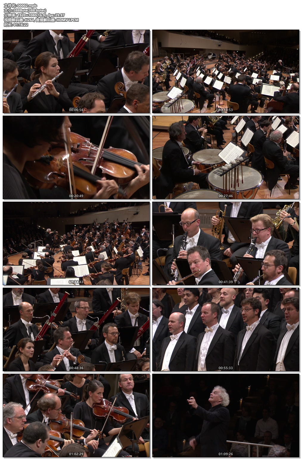 图片[6]-Beethoven Symphonies Nos. 1-9 2016 Concert Video《BDMV 87.6G》-蓝光演唱会资源网